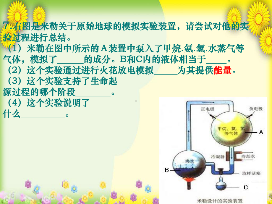 济南版生物八下《生物进化的证据》-高效课堂-获奖课件-5.ppt_第2页