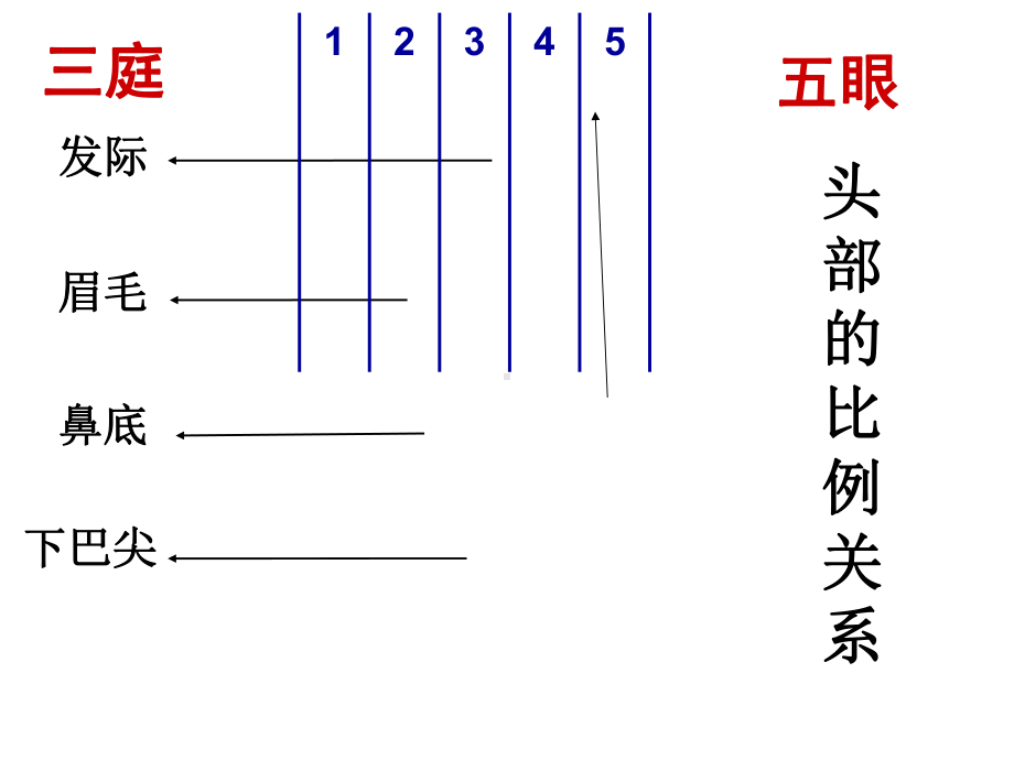 最新人教版美术7年级上册第2单元第2课《在校园中健康成长》课件.ppt_第3页