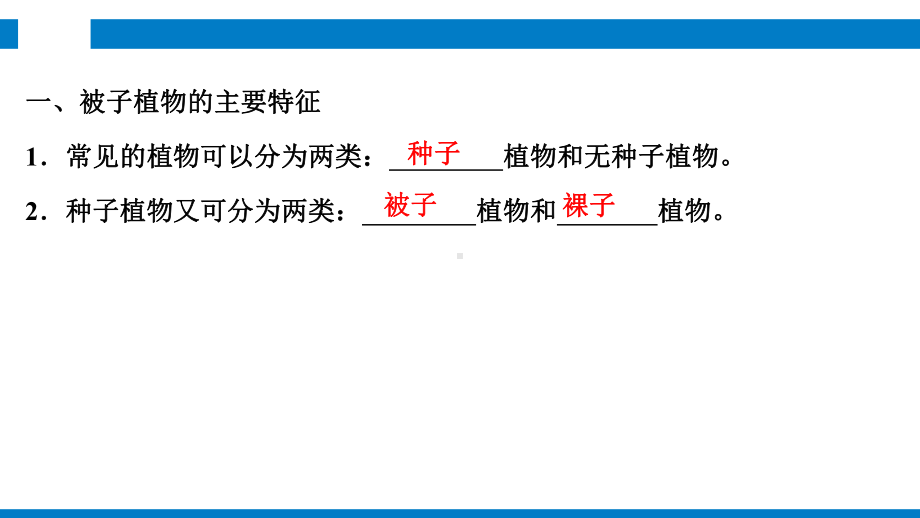 浙教版科学《常见的植物》课件4.ppt_第2页