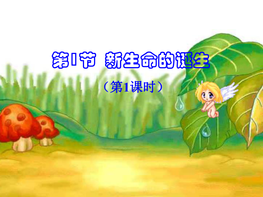 浙教版七级下册人的生殖系统课件.ppt_第1页