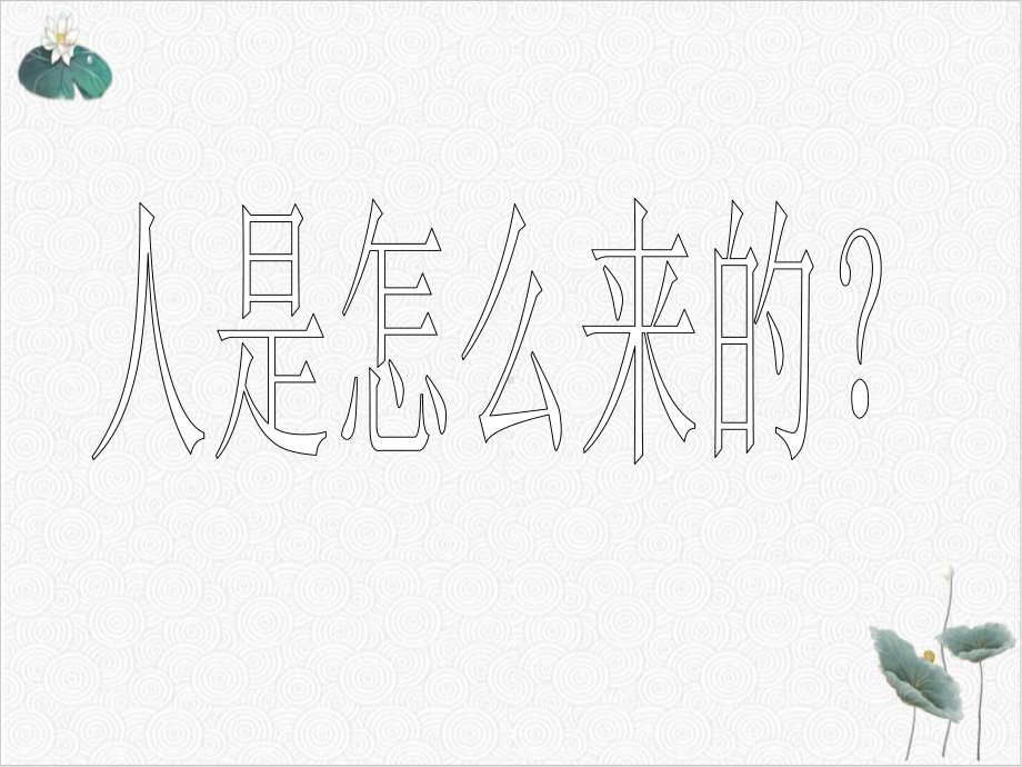 浙教版七级下册人的生殖系统课件.ppt_第2页