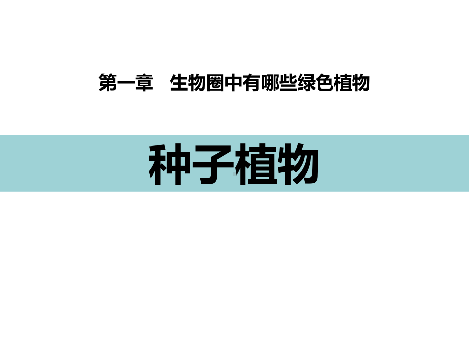 最新人教版初中生物七年级上册第二节《种子植物》优质教学课件.pptx_第1页