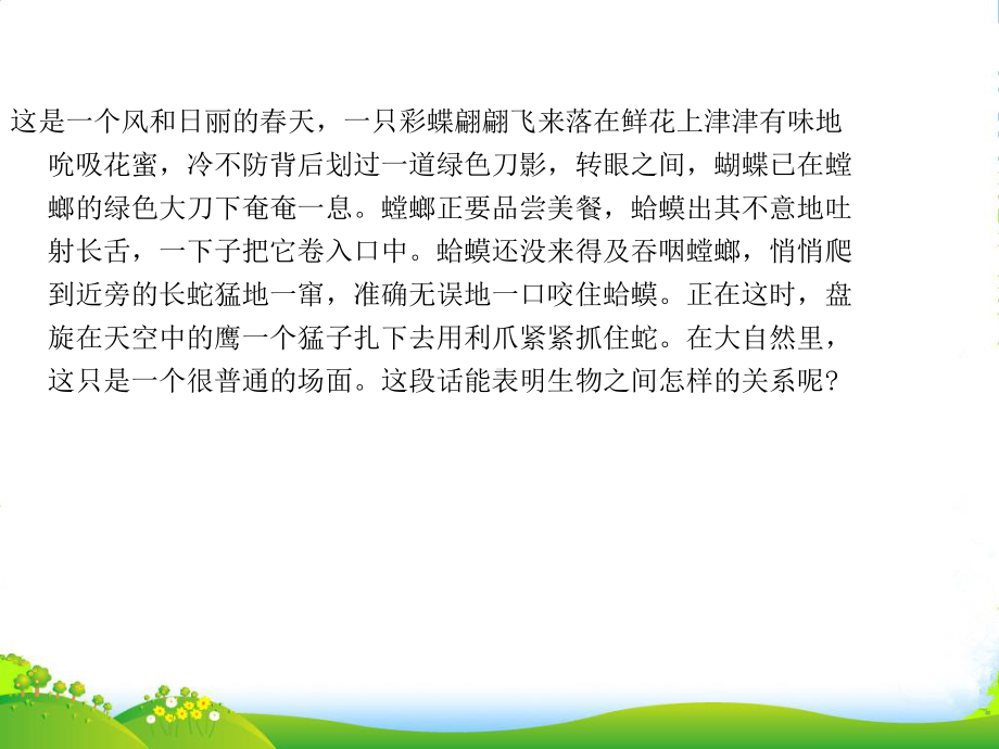 湖北省汉川XX中学-八年级生物上册-生态系统的结构和功能-课件-人教新课标版-.ppt_第2页