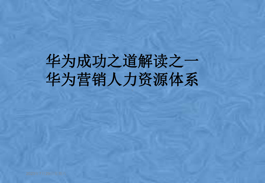 某成功之道解读之一华为营销人力资源体系课件.pptx_第1页