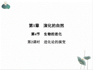 浙教版九级科学下册课件.ppt