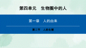 梅河口市六月上旬七年级生物下册第四单元第一章第二节人的生殖课件新版新人教版-2.ppt