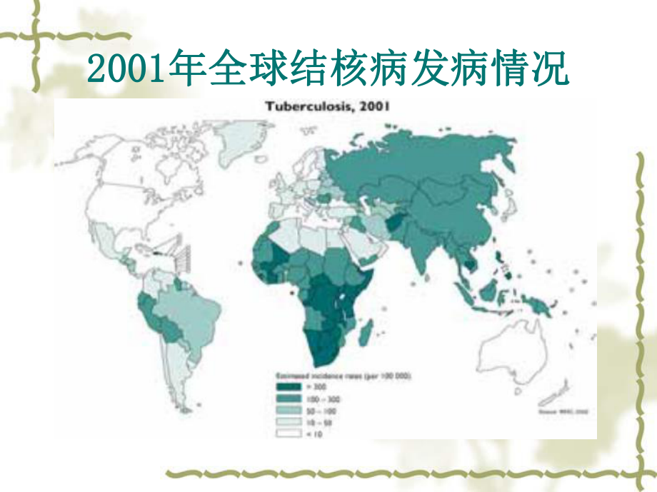 结核病和原发型肺结核.ppt_第3页