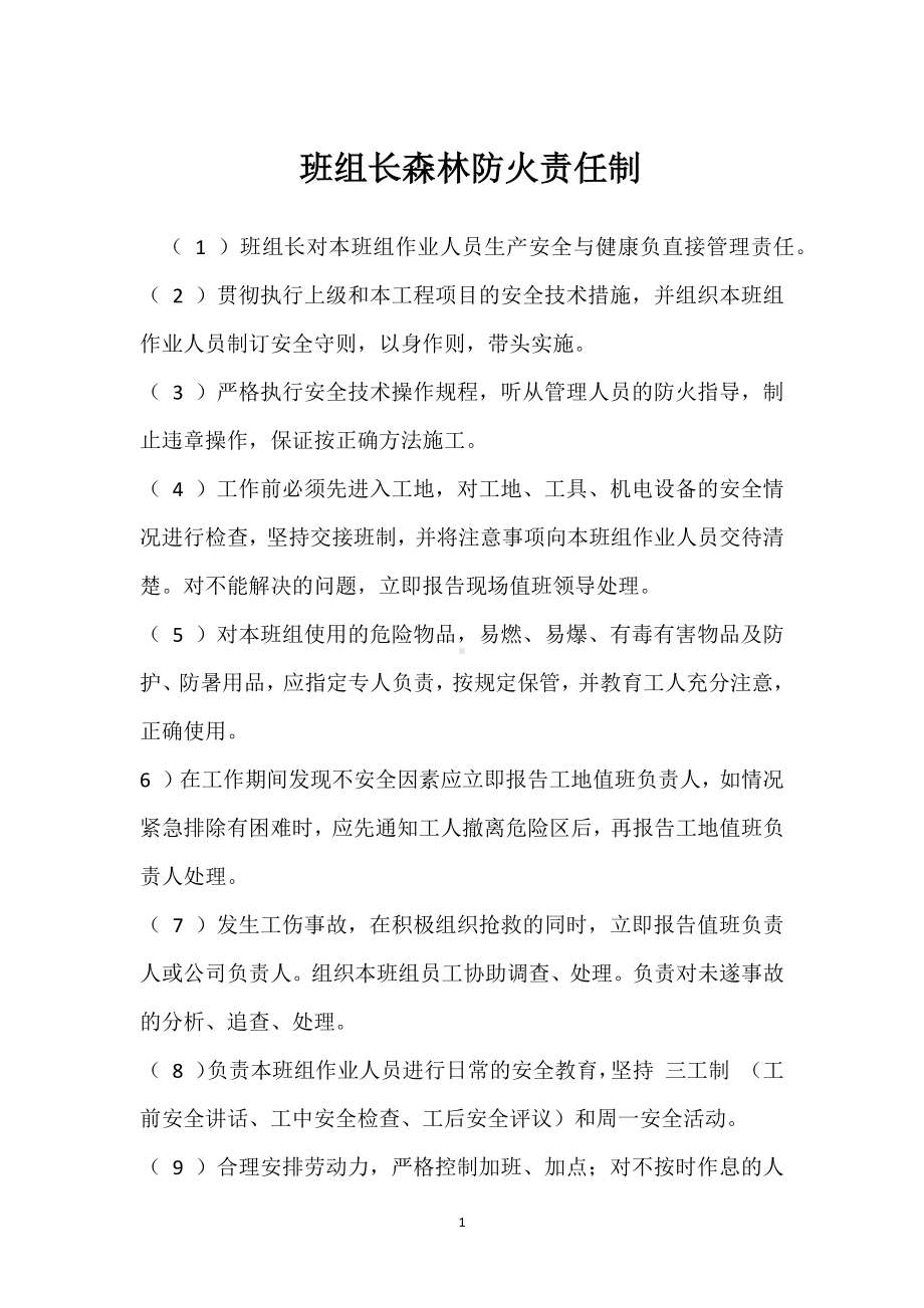 班组长森林防火责任制模板范本.docx_第1页