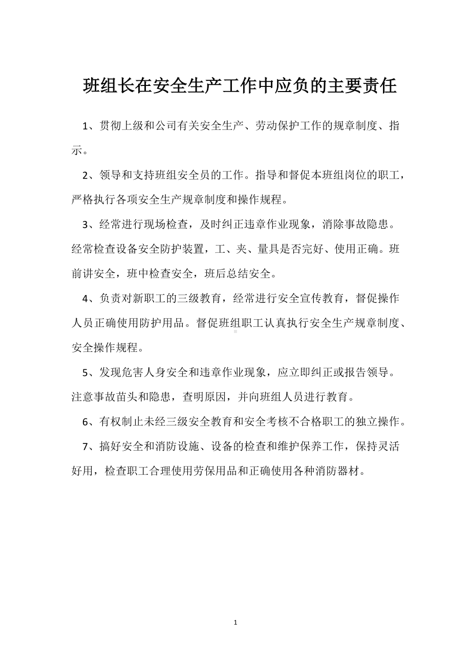 班组长在安全生产工作中应负的主要责任模板范本.docx_第1页