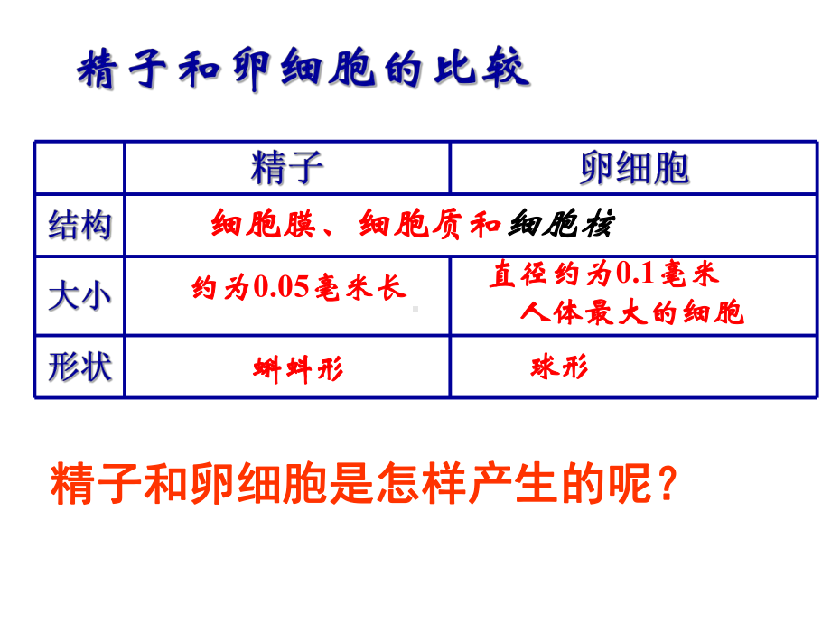 浙教版科学七年级下册11《新生命的诞生》经典课件.ppt_第3页