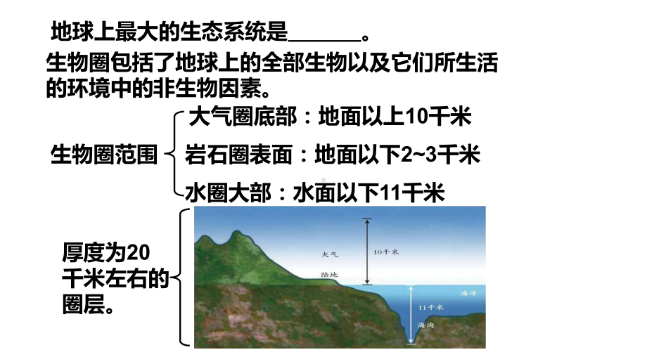 浙教版科学《生态系统的结构和功能》课件1-002.pptx_第3页