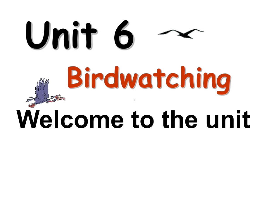 最新牛津译林版八年级英语上册《Unit-6-Bird-watching-Welcome-to-the-Unit》课件.ppt_第1页