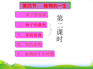 浙江省瑞安市XX中学七年级科学下册《植物的一生》课件2-浙教.ppt