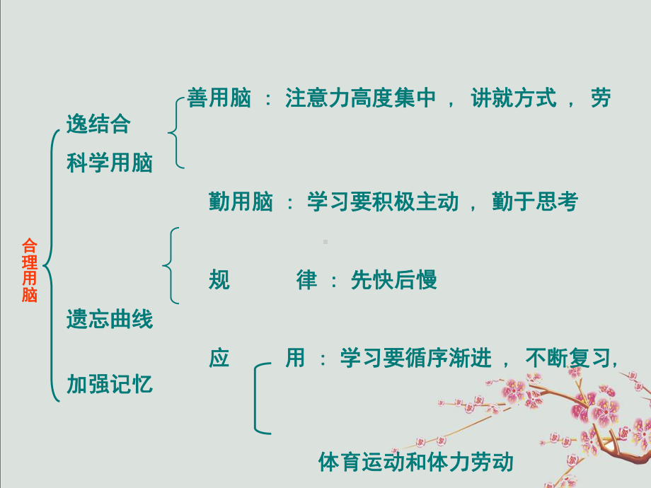 永年县某中学七年级生物下册-第2单元-第4章-第4节-合理用脑课件-新版冀教版.ppt_第2页