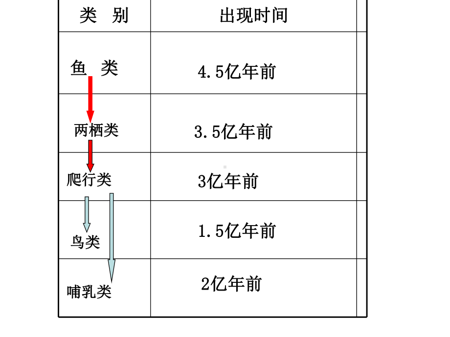 浙教版科学《常见的动物》4课件.ppt_第3页