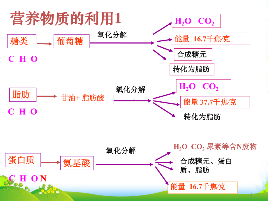 浙江省丽水市XX中学九年级科学上册《体内物质的动态平衡》课件-浙教版.ppt_第2页