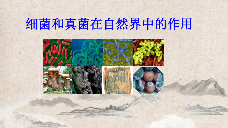 武汉市某中学八年级生物上册-第五单元-第四章-第四节《细菌和真菌在自然界中的作用》课件-新版新人教.ppt_第2页