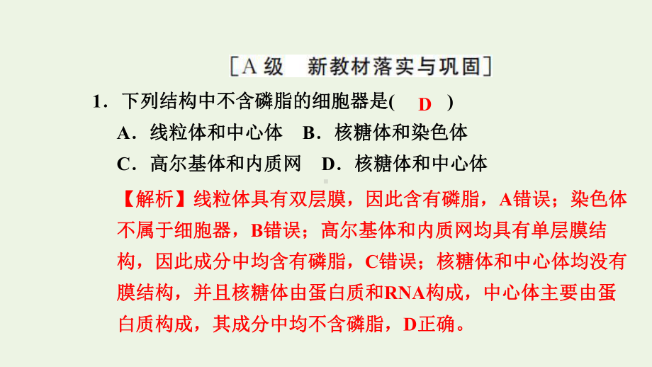 新教材高中生物高效作业8液泡中心体细胞溶胶细胞骨架观察叶绿体和细胞质流动课件浙科版必修第一册.pptx_第2页