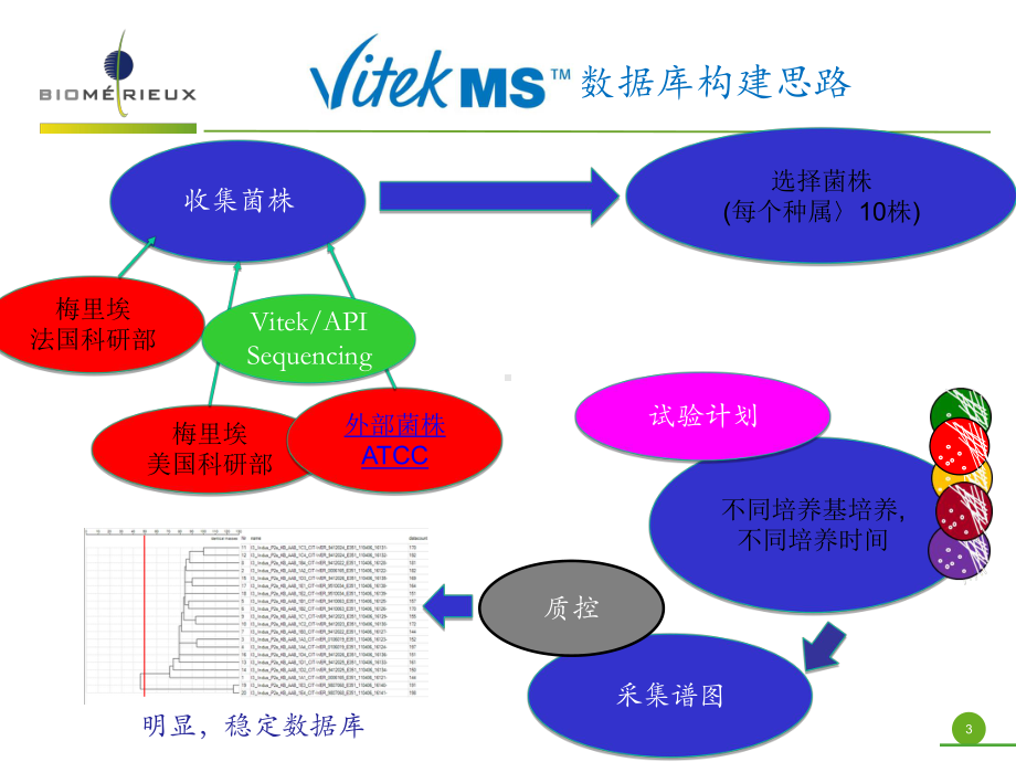 梅里埃质谱建库规则课件.ppt_第3页