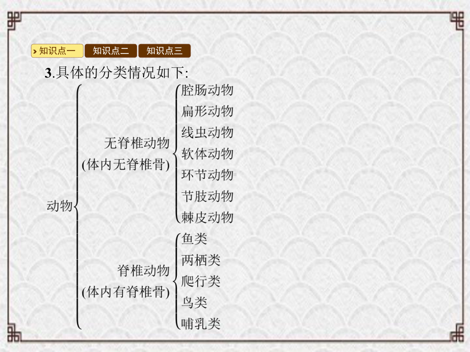 烟台市某中学学年八年级生物下册第22章第4节动物的主要类群课件新版北师大版2.ppt_第3页