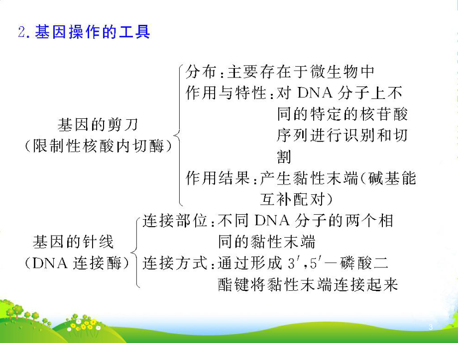 浙江省XX中学高中生物-基因工程2复习课件-浙科选修3.ppt_第3页