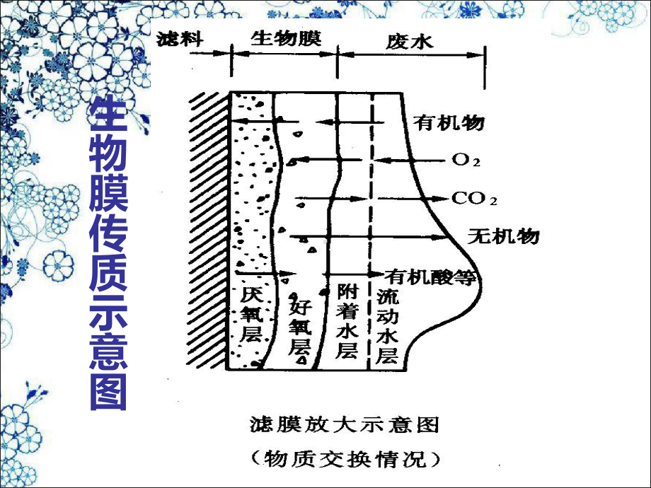 污染控制第四章2生物膜法课件.ppt_第2页