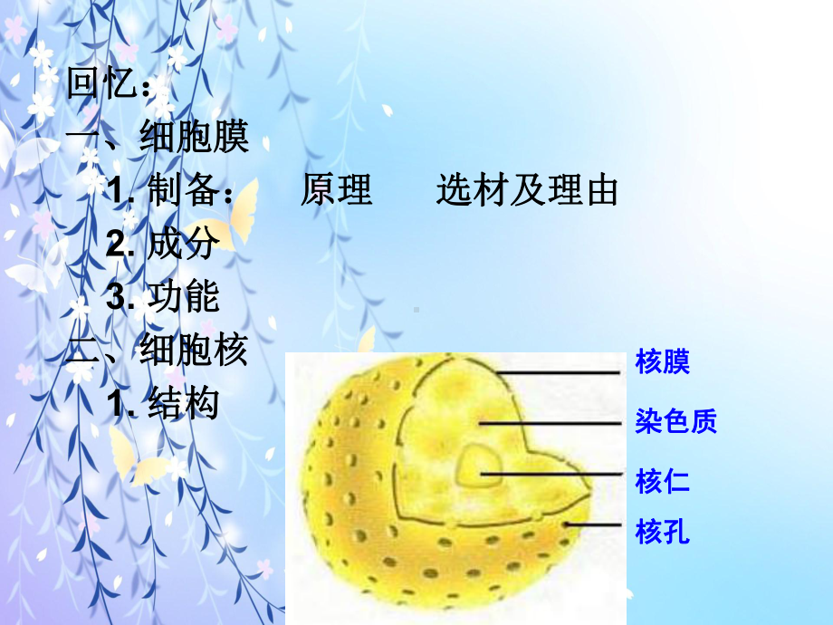 染色体教学课件.ppt_第1页