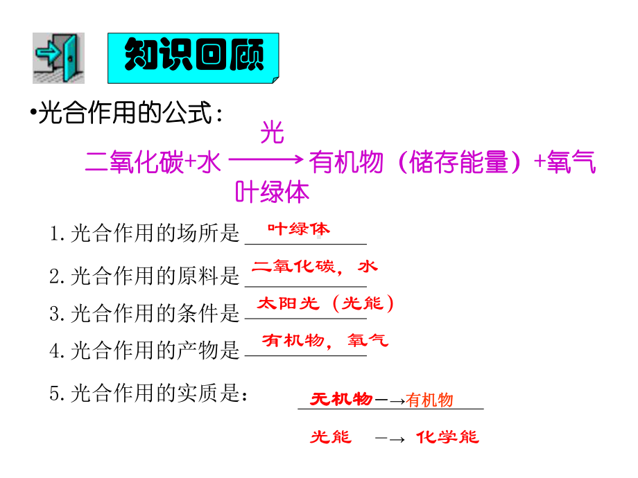 浙教版科学《生物的呼吸和呼吸作用》2课件.ppt_第3页