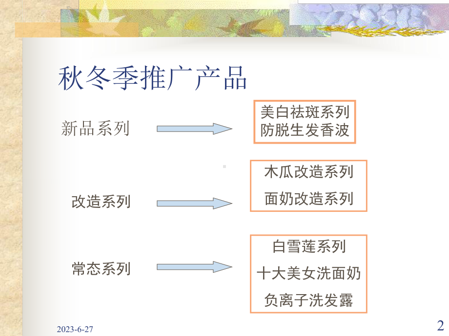 某护肤品秋冬季产品推广方案.pptx_第2页