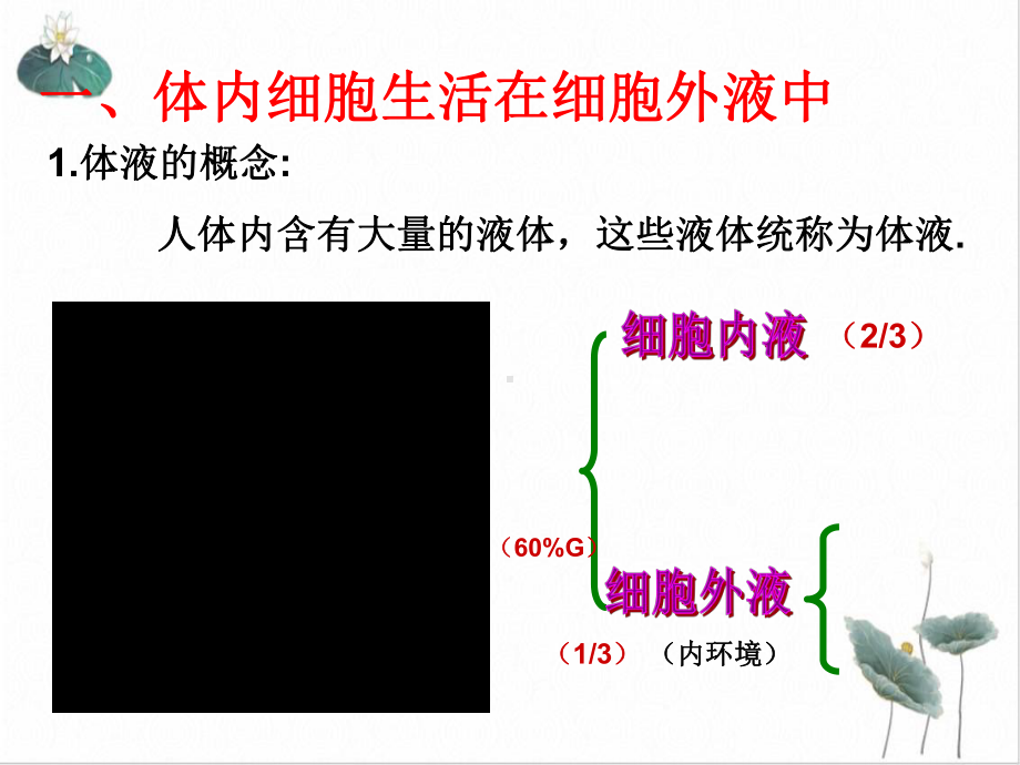 细胞生活的环境课件(原文)高中生物必修.ppt_第2页