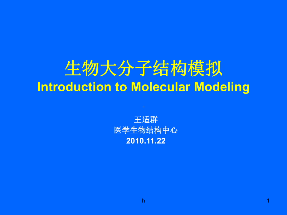 生物大分子结构模拟课件.ppt_第1页