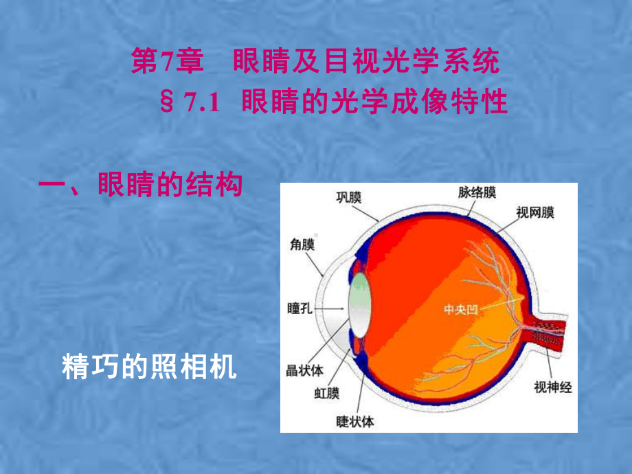 第7章眼睛及目视光学系统课件.pptx_第2页