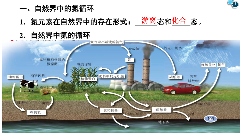 第三章第3节第1课时-自然界中的氮循环高一上学期鲁科版（2019）化学第一册课件.ppt_第3页