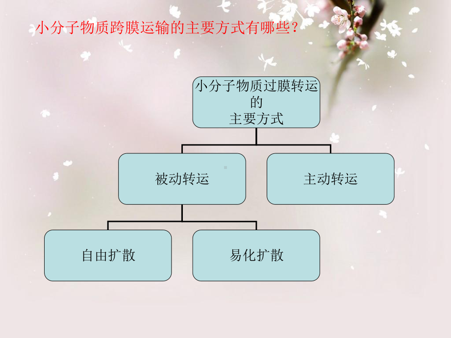 物质过膜转运的方式教学课件.ppt_第2页