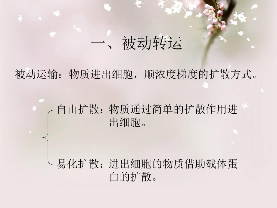 物质过膜转运的方式教学课件.ppt_第3页