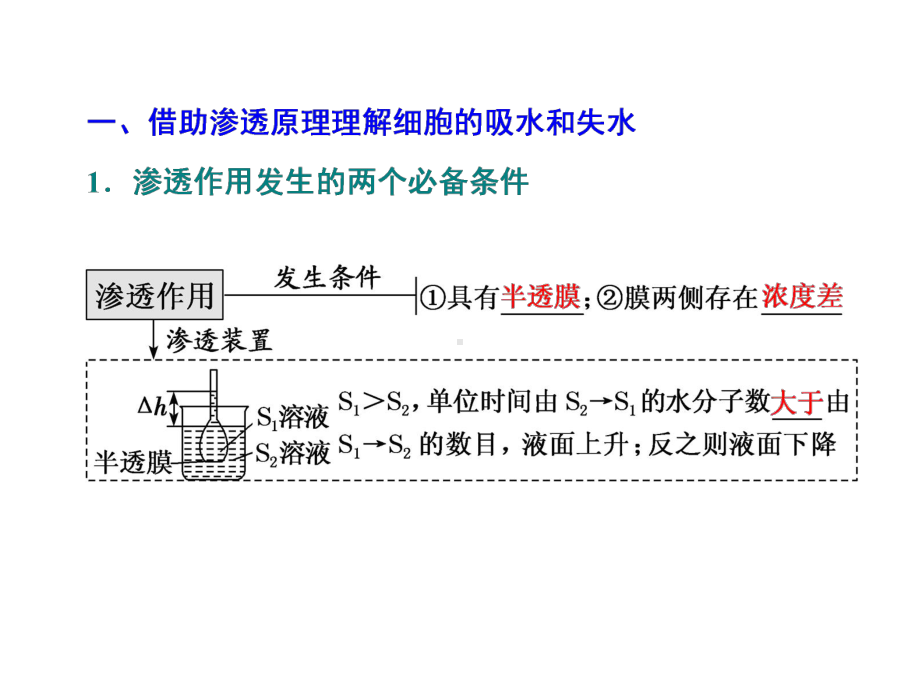 物质跨膜运输的实例和方式课件.ppt_第3页