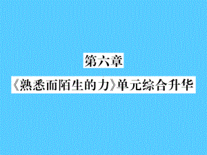 第六章-《熟悉而陌生的力》单元综合升华—2020秋沪科版八年级物理上册课堂作业课件1.pptx