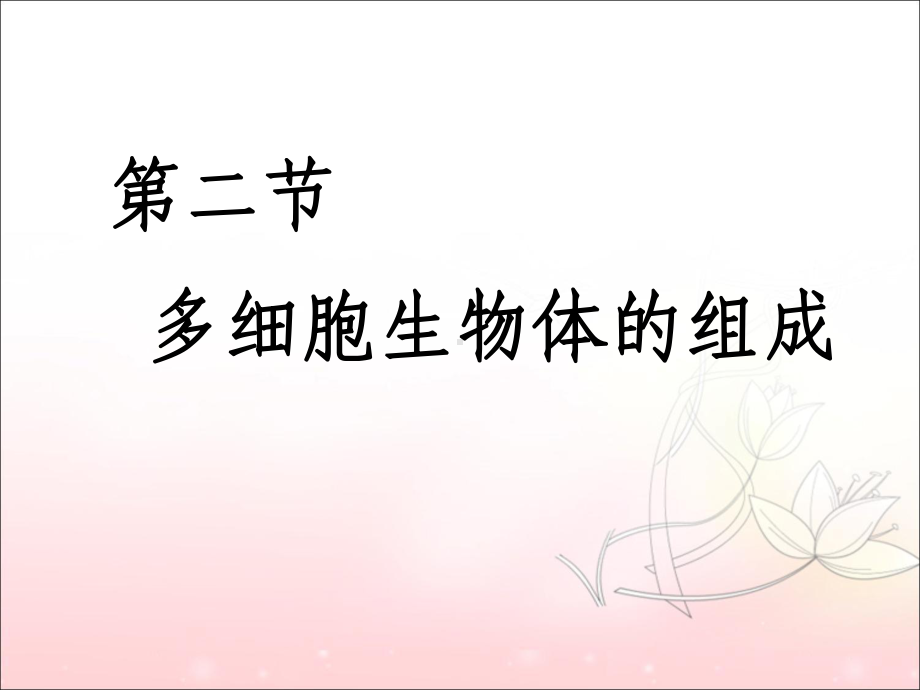 苏教版七年级生物上册《第二节-多细胞生物体的组成》课件1.ppt_第1页