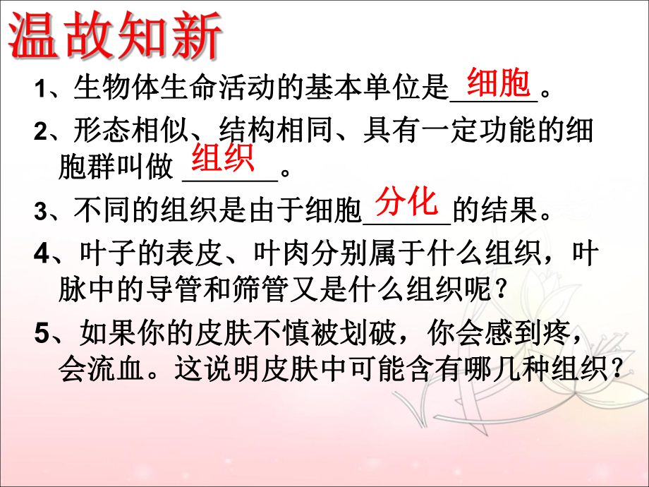 苏教版七年级生物上册《第二节-多细胞生物体的组成》课件1.ppt_第2页