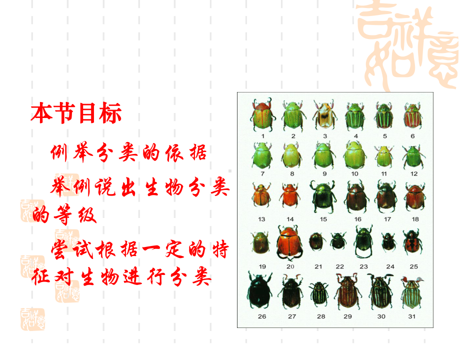 苏教版八年级生物上册-《生物的分类》课件-.pptx_第2页