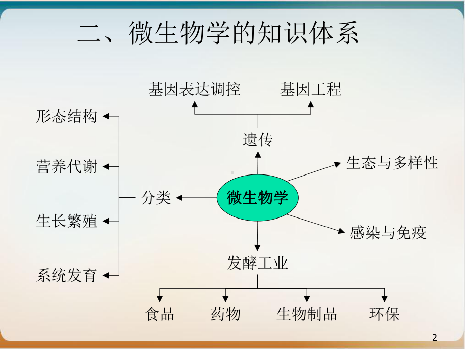 第一章原核生物的形态构造和功能讲课课件.ppt_第2页