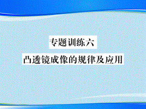 第四章专题训练六-凸透镜成像的规律及应用—2020秋沪科版八年级物理上册课堂作业课件.pptx