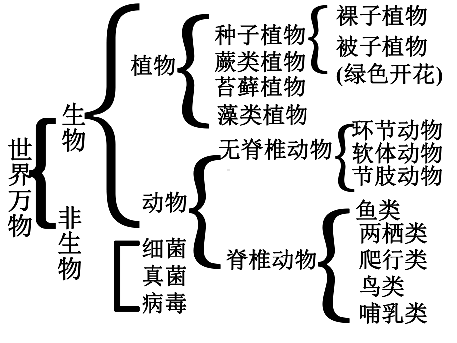 苏教版七年级生物上册复习提纲课件.ppt_第1页