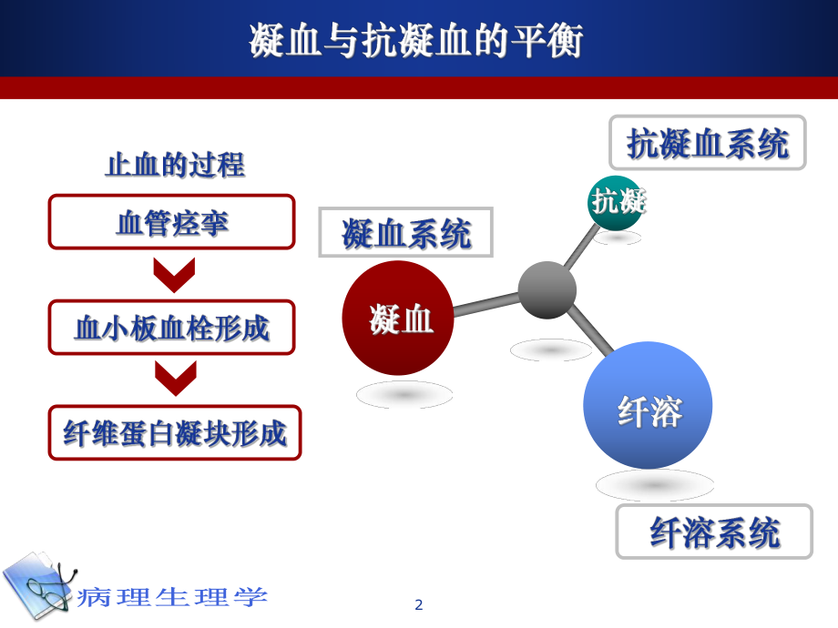 病理生理学12-凝血和抗凝血平衡紊乱课件.ppt_第2页