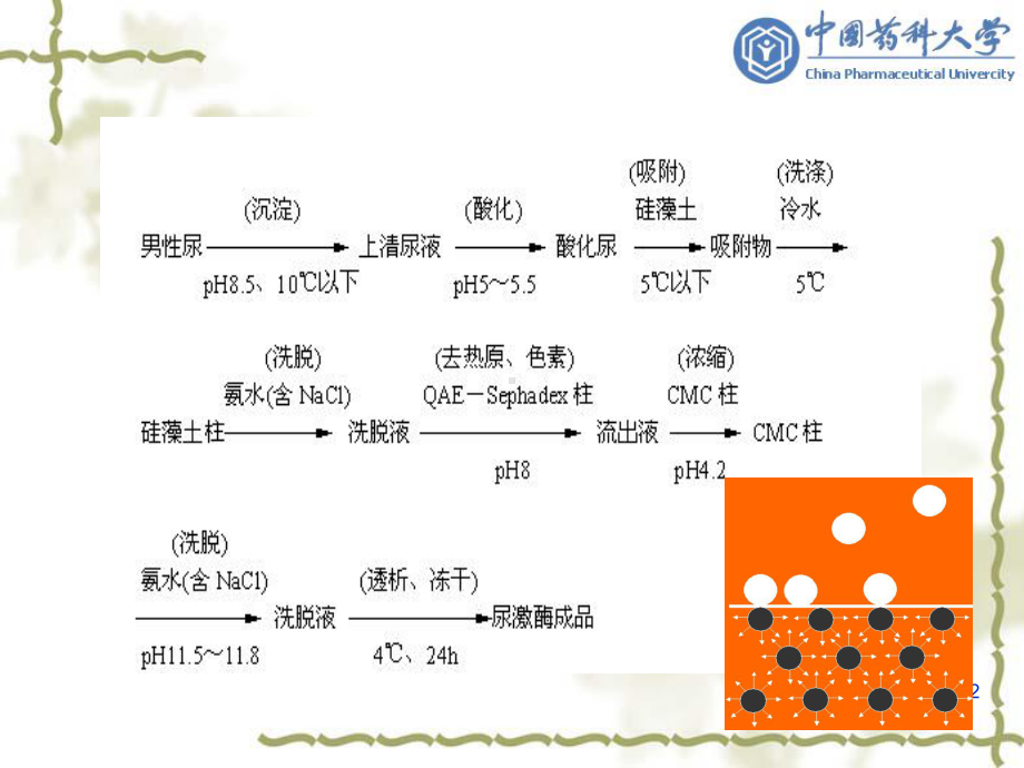 生物制药工艺学第6章吸附分离法08-3-20课件.ppt_第2页