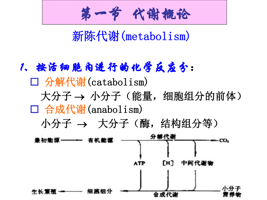 第六章-微生物的代谢p知识课件知识讲稿.ppt_第3页