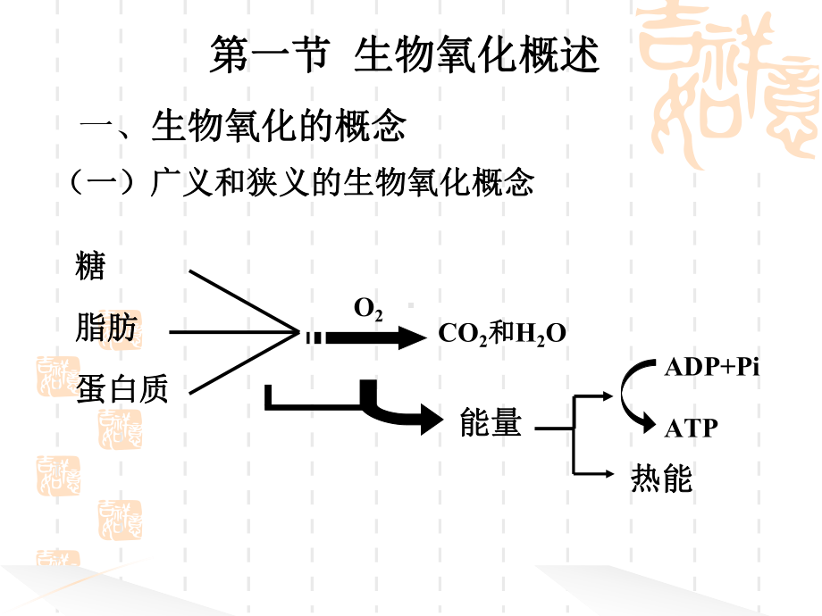 第五章生物氧化与氧化磷酸化课件.pptx_第2页