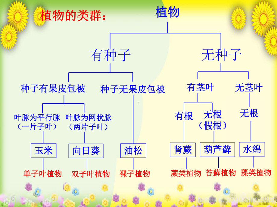 苏教初中生物八上《第5单元-第14章-第1节-五彩缤纷的植物世界》-原创精美课件-3.ppt_第2页