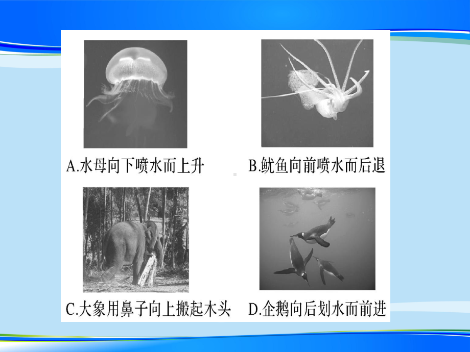 第六章-阶段训练7—2020年秋沪科版八年级上册物理(作业)课件.ppt_第3页