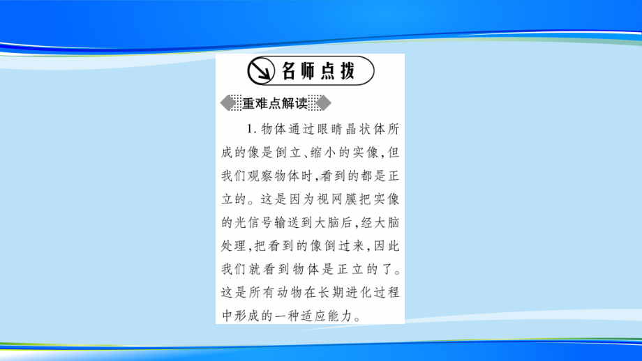 第4章-第6节-神奇的眼睛—2020年秋教科版物理八年级上册课时作业课件.pptx_第2页